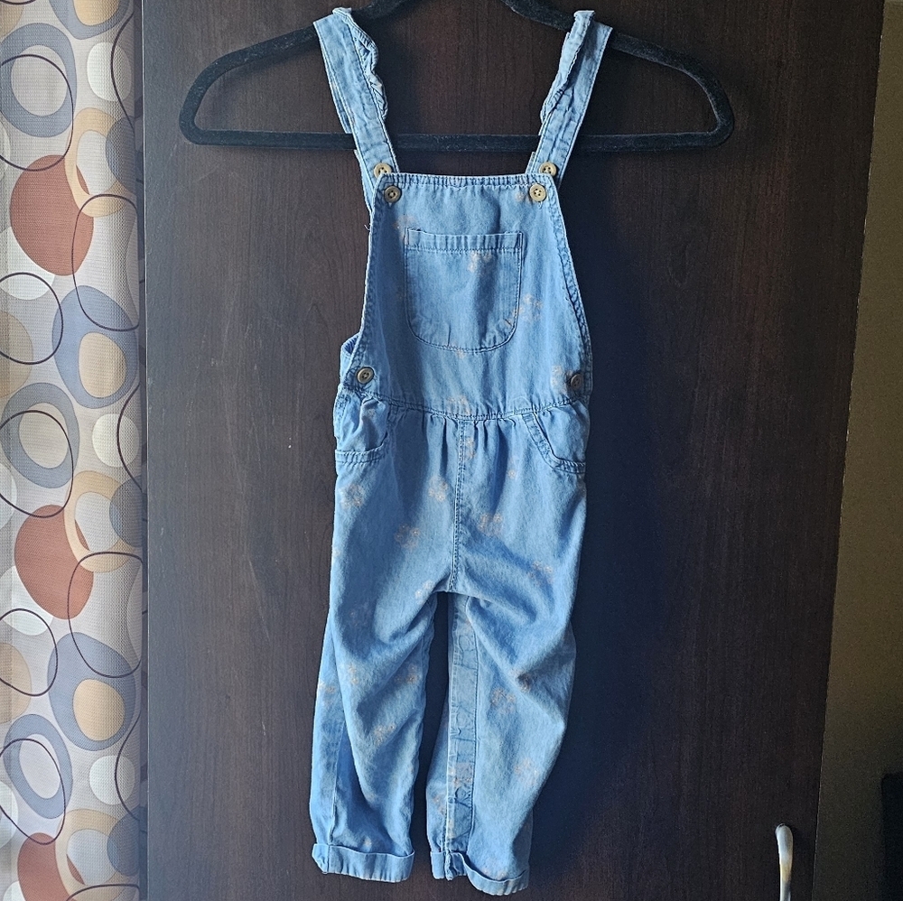 Carter's Blue Girl's Overalls With Pink Flowers Size 24 Months